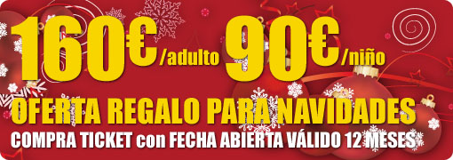 oferta navidades promo reyes rebajas vuelo en globo