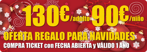 oferta regalo de navidad vuelo en globo